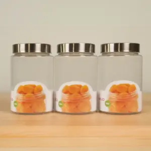 Steelo Homely Container ss Cap